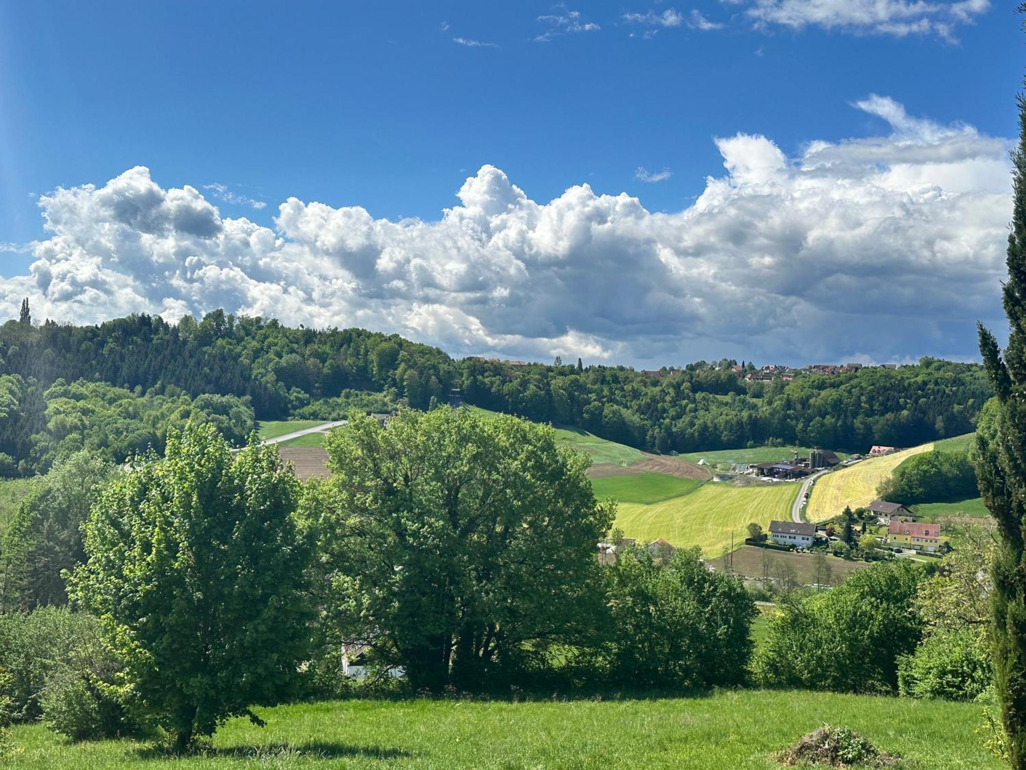 Breitenfelderhof zur Riegersburg Breitenfeld an der Rittschein Exterior foto